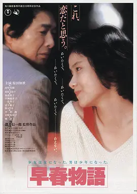 高清电影《尘雾行者》海报